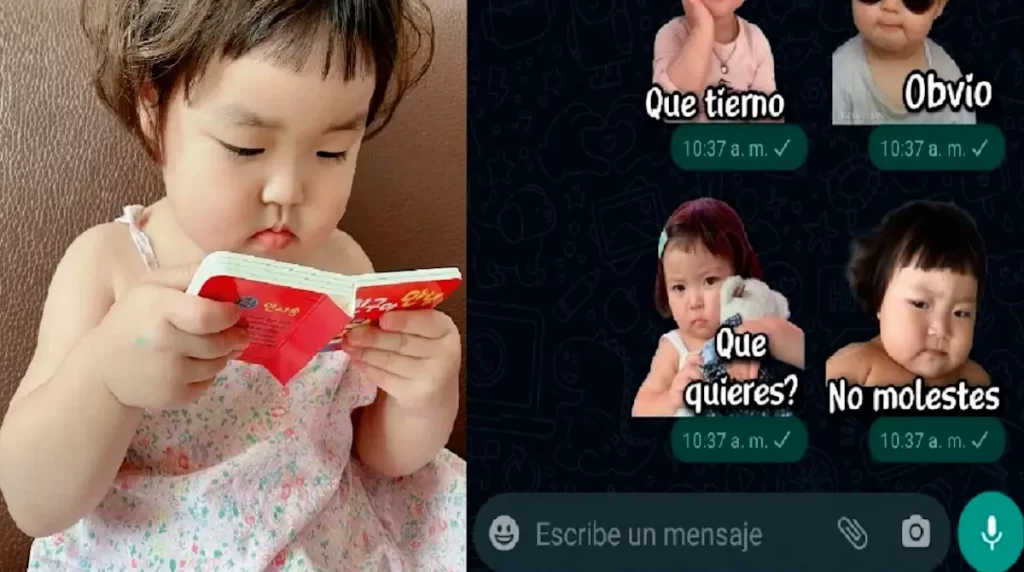 Stickers de Rohee en WhatsApp