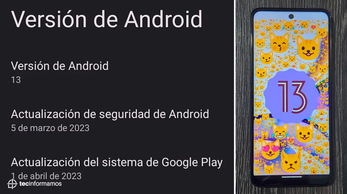 Software del Moto G13