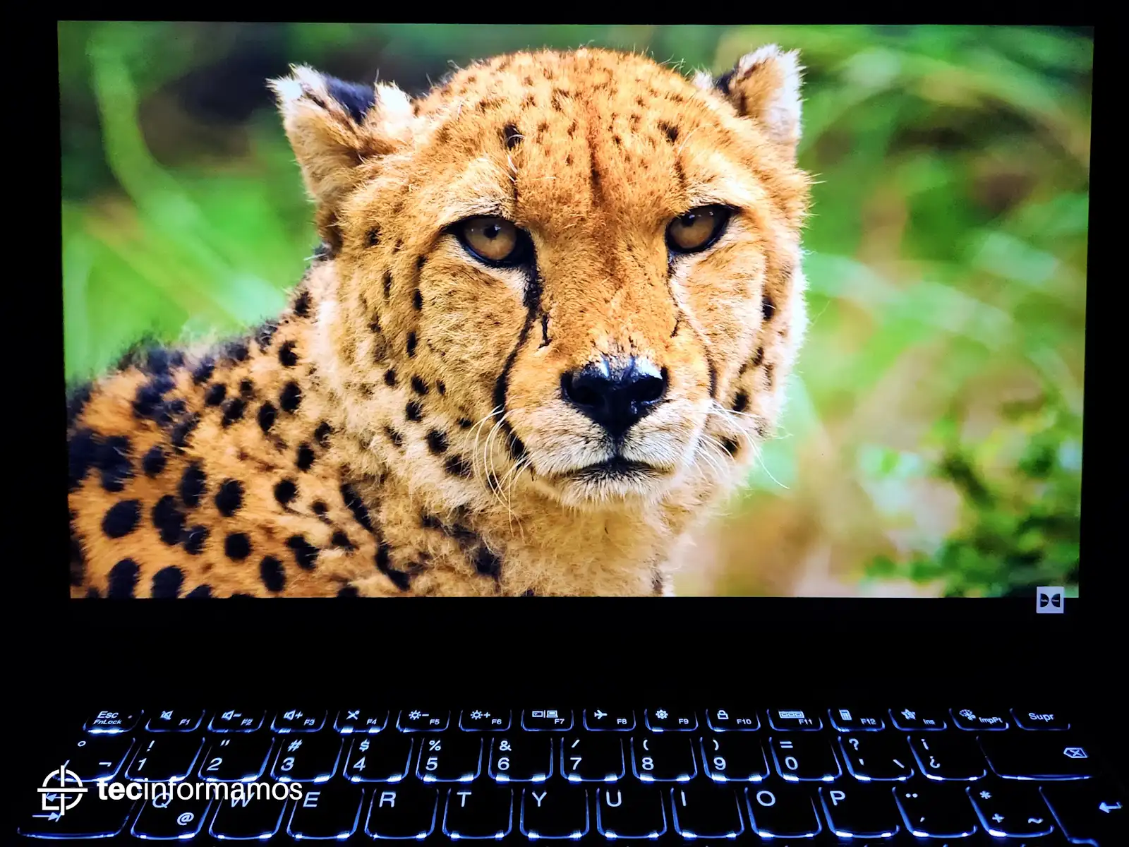 Pantalla de la Lenovo Yoga Slim 7 Pro X