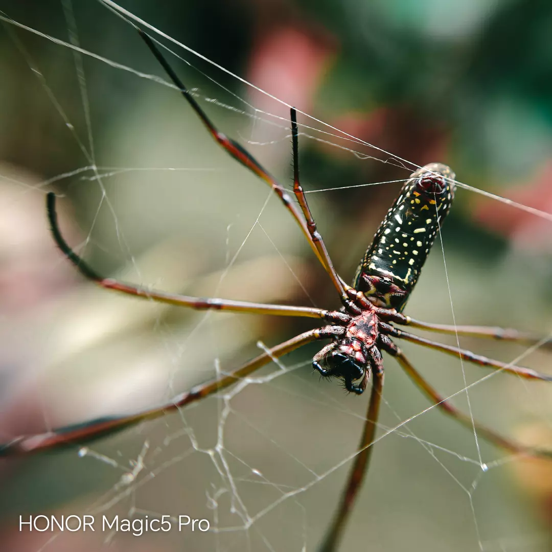 Fotografía con el lente periscópico del HONOR Magic 5 Pro