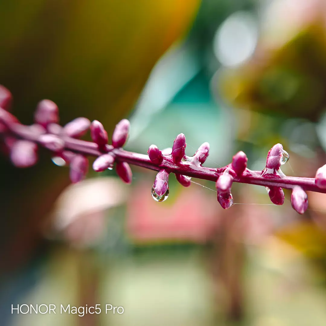 Fotografía con el lente periscópico del HONOR Magic 5 Pro