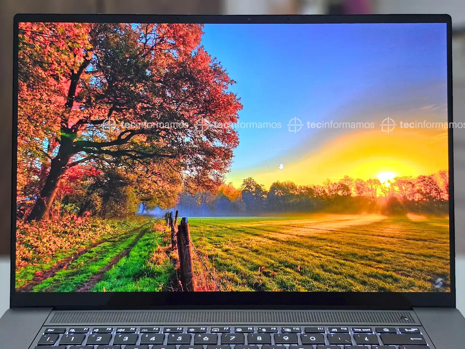 ASUS Zenbook S 16 pantalla