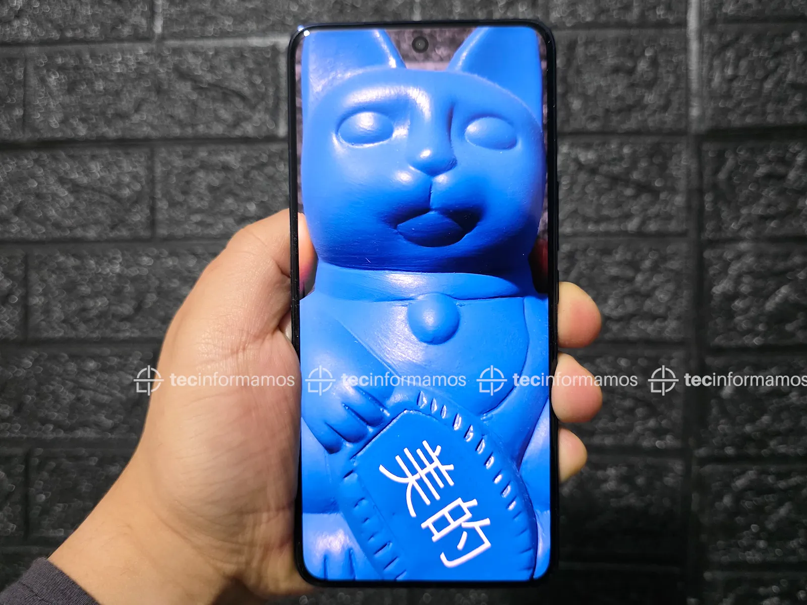 vivo V50 pantalla