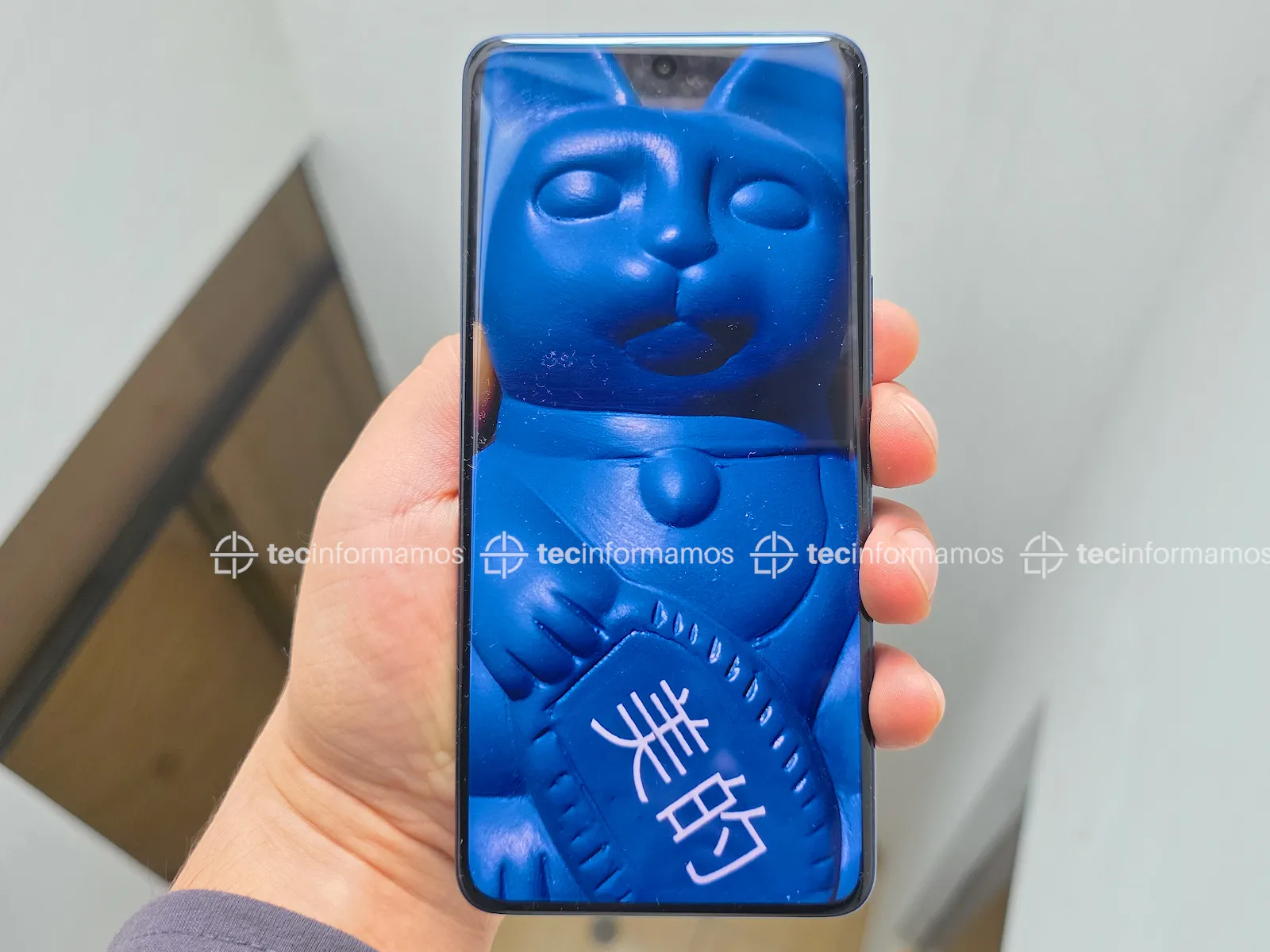 vivo V50 pantalla